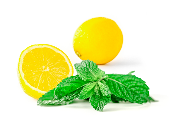 Lemon Mint Flavor